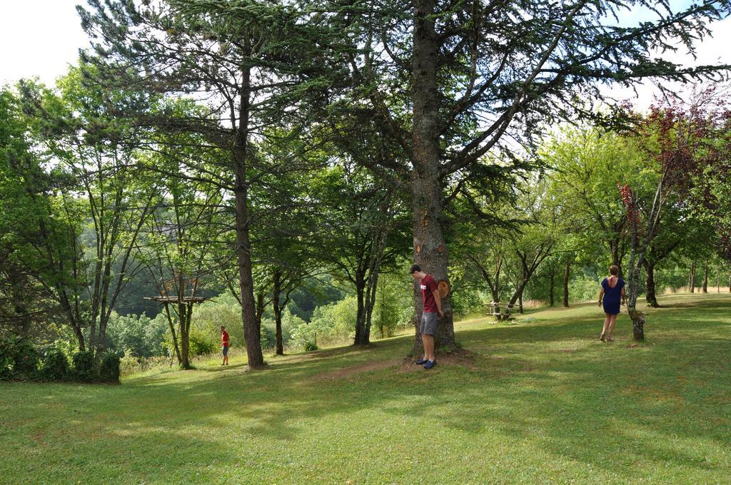 Hôtel Domaine De La Greze à Murat Extérieur photo